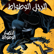 Batman #12