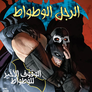 Batman #13