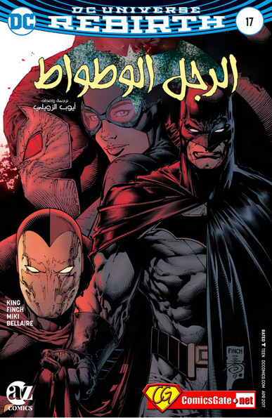 Batman #17