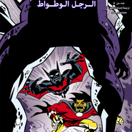 Batman Beyond v1 4: Magic is Everywhere 