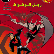 Batman Beyond v2 7: Spellbound!