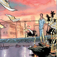 Daytripper