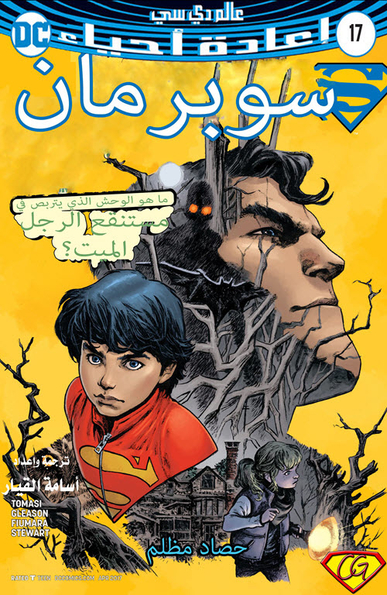 Superman #17