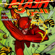 The Flash: Issue #244