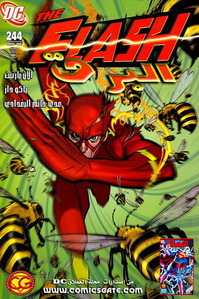 The Flash: Issue #244