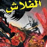 The Flash #11