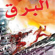 The Flash #12