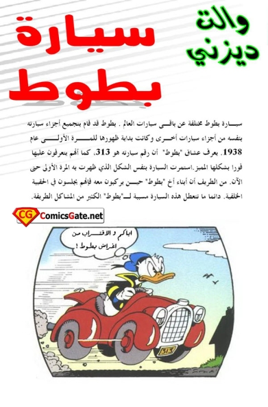 Donald Duck: Recalled Wreck