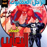 Spider-man Vs Punisher