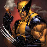 Wolverine